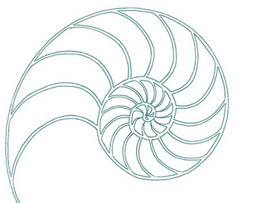 Grafik Design Birgit Feigl Aindling Aichach